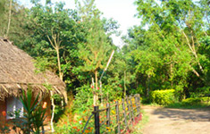 The Ciscilia Heritage Nelliampathy, Kerala, India