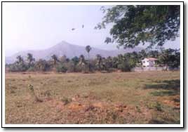 NATURAL BEAUTY OF PALAKKAD 