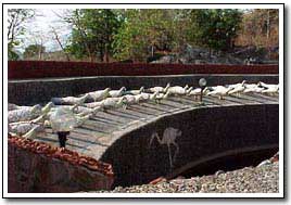 Rock Garden - Malampuzha